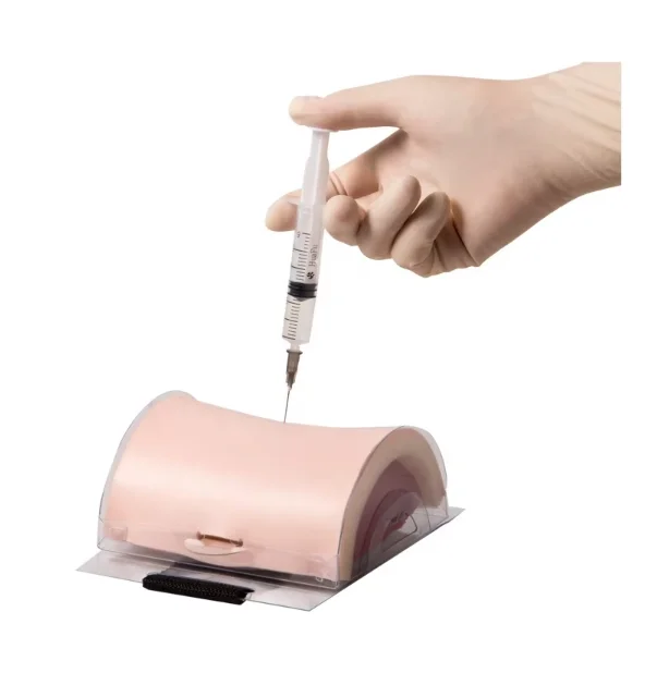GD/HS18E Advanced Medical Science Intramuscular    Kit PVC Material for Training in Schools and Clinics