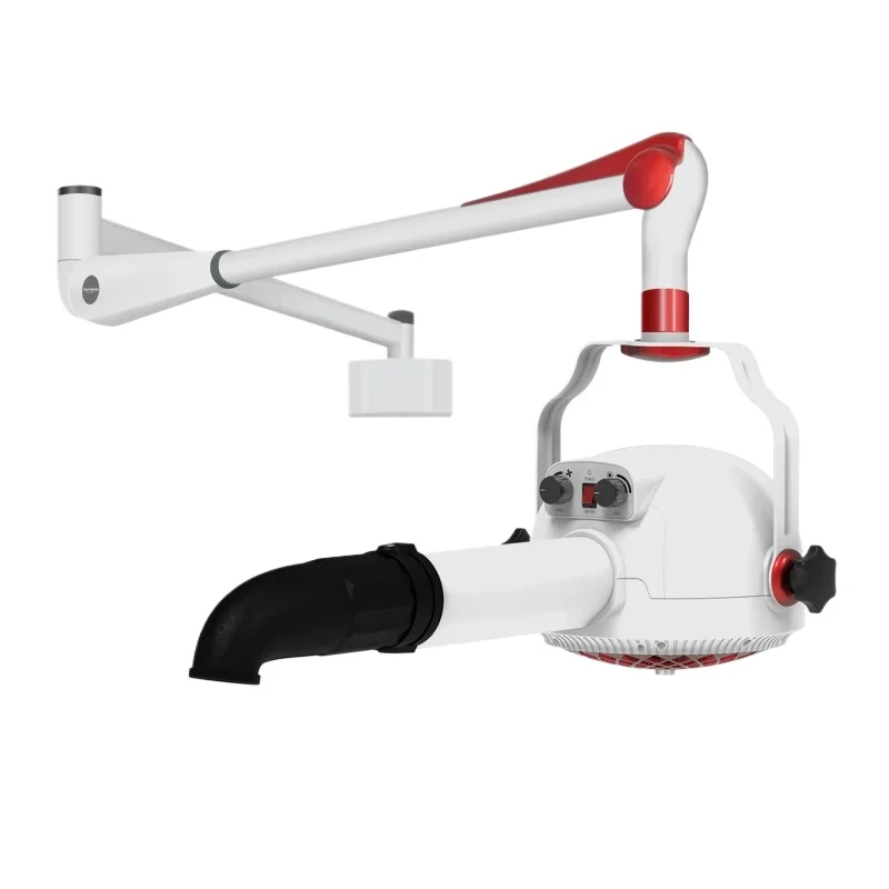 

Профессиональный производитель, машина для вытягивания волос домашних животных, фен для волос, вертикальный отрицательный ион, укладка волос для собак и кошек