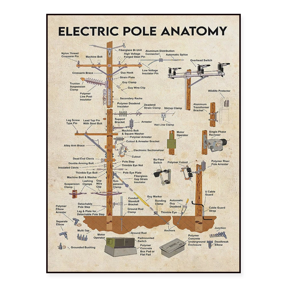 Electric Pole Anatomy Vertical Display Canvas, Lineman Knowledge Wall Art, Power Panel Wall Decor Poster