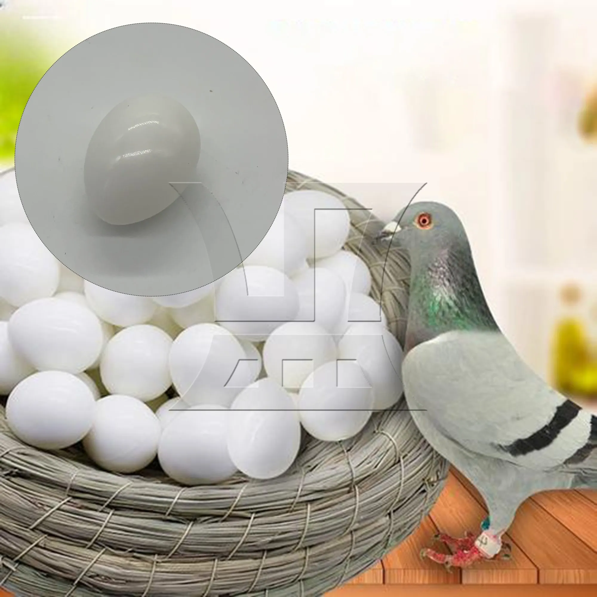 

CNBTR 1pc Solid Plastic Fake Pigeon Egg White Solid Plastic Material