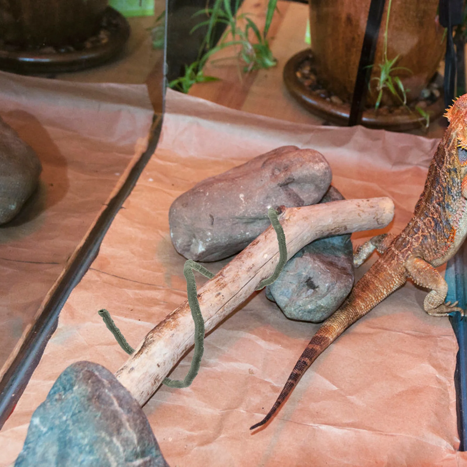 محاكاة الكرمة الميتة الزواحف تسلق فرع تررم ديكور للسحالي الثعابين أبو بريص الكرمة الاصطناعية زخرفة الزواحف