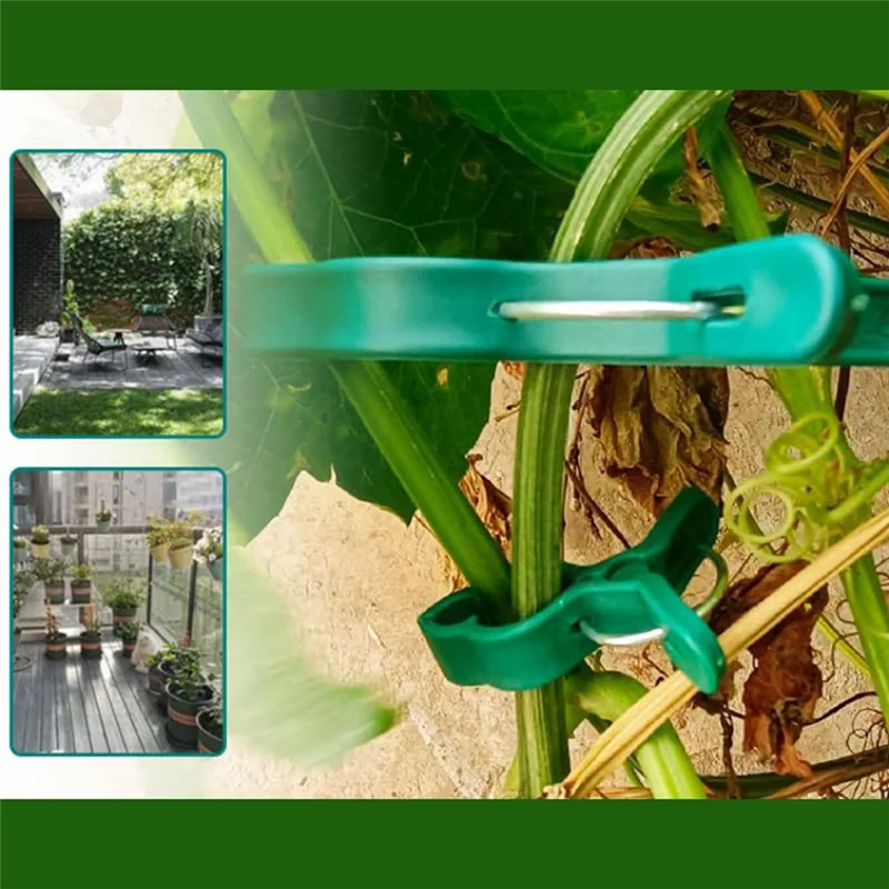 

A21Q -Gardening Clip Phalaenopsis Clip Plant Garden Clip Set Tomato Plant Clip Plastic Clip