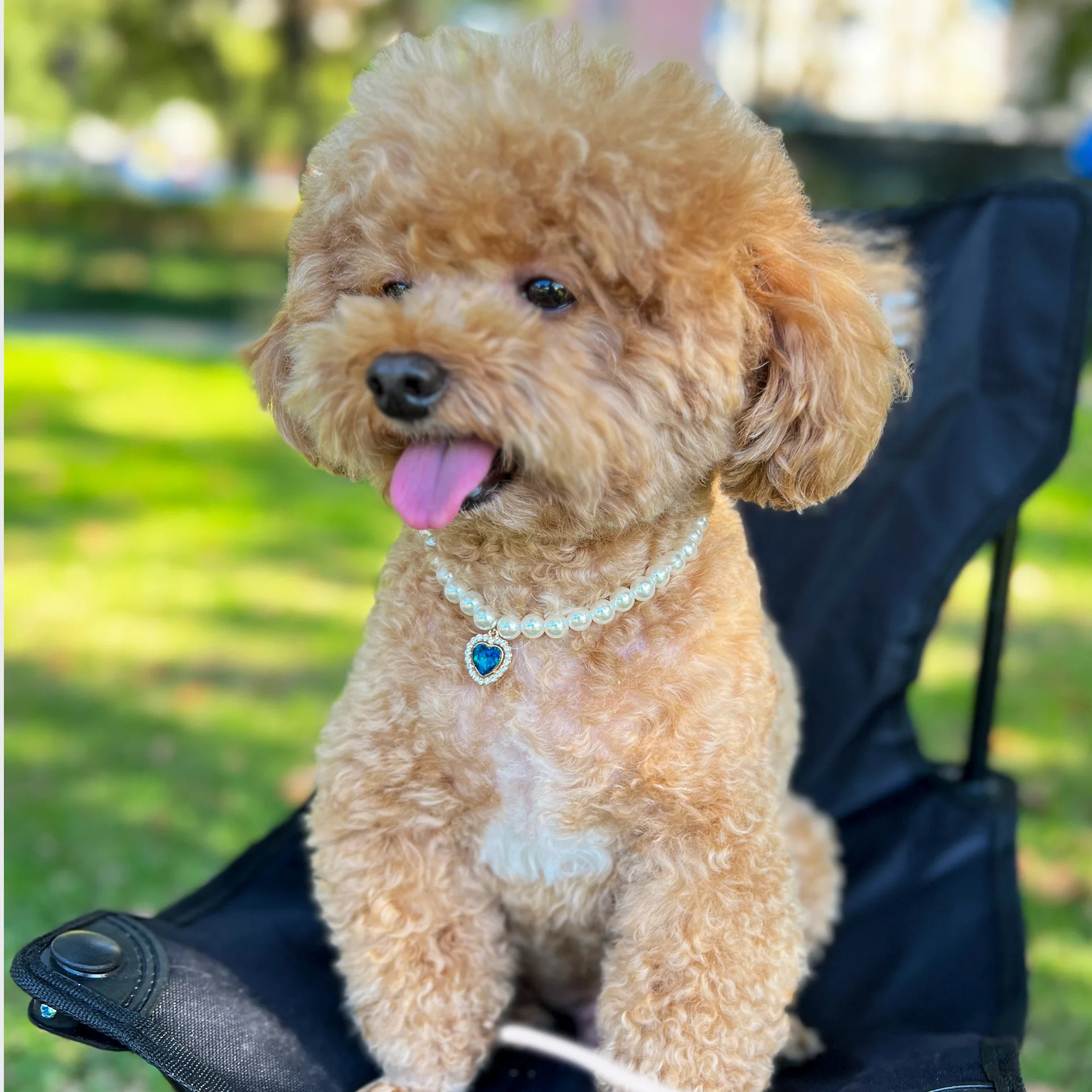 DIY accessories European and American cross-border pet dog pearl accessories, love gemstone pendant necklace cat and dog pendant