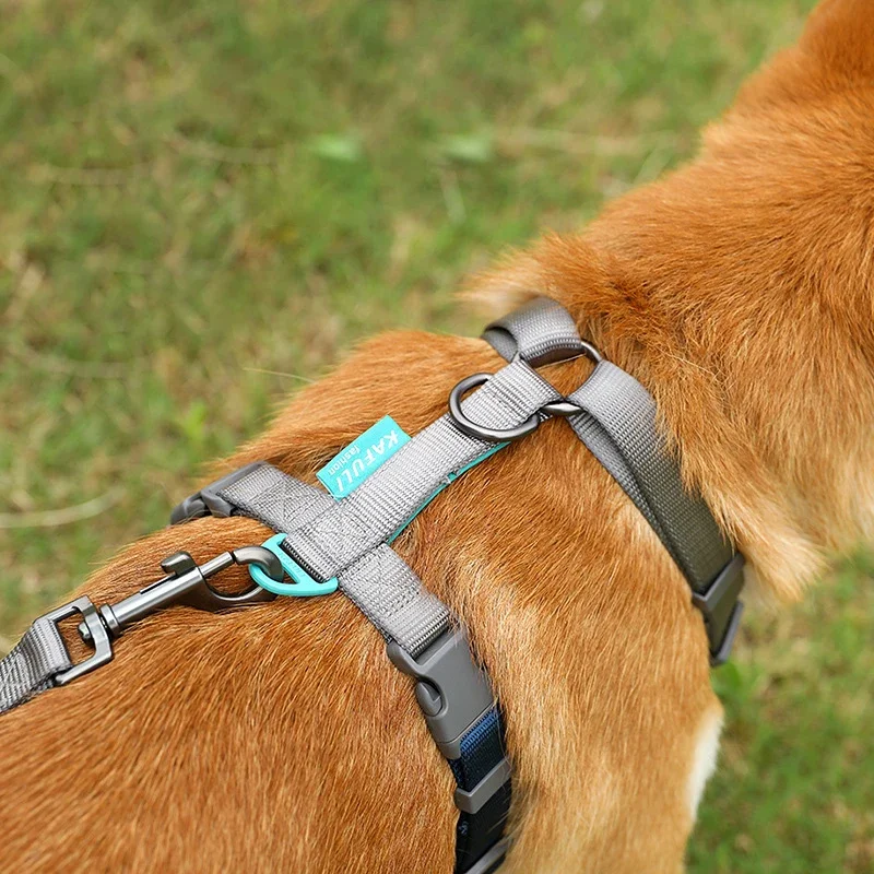 Pet Harness and Leashes Adjustable Dog Harness Medium & Large Dog Walking Leash Explosion-proof Punching Dog Chain Pet Supplies