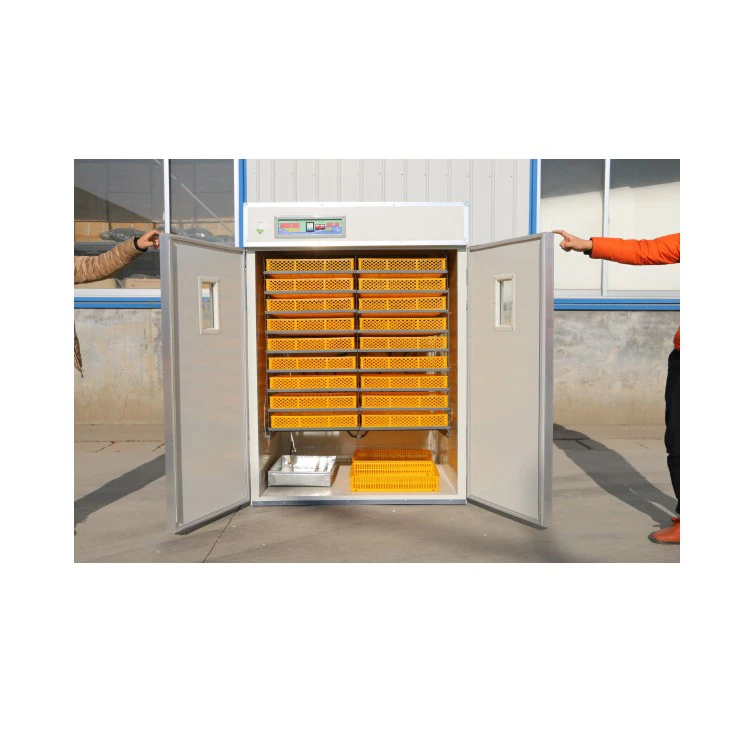 2025년 고품질 상업용 대규모 양계장용 계란 부화기 (두바이)