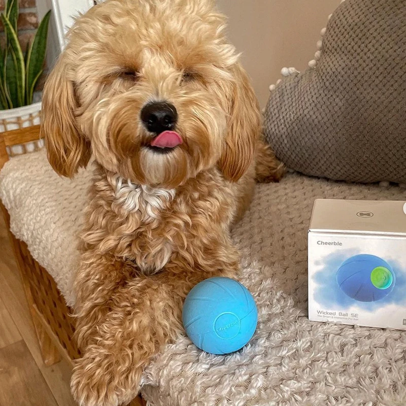 

Auatic Interactive Dog Toy Cheese Ball for Dogs And s Self Entertaining Powered Rubber Ball Consumes Energy