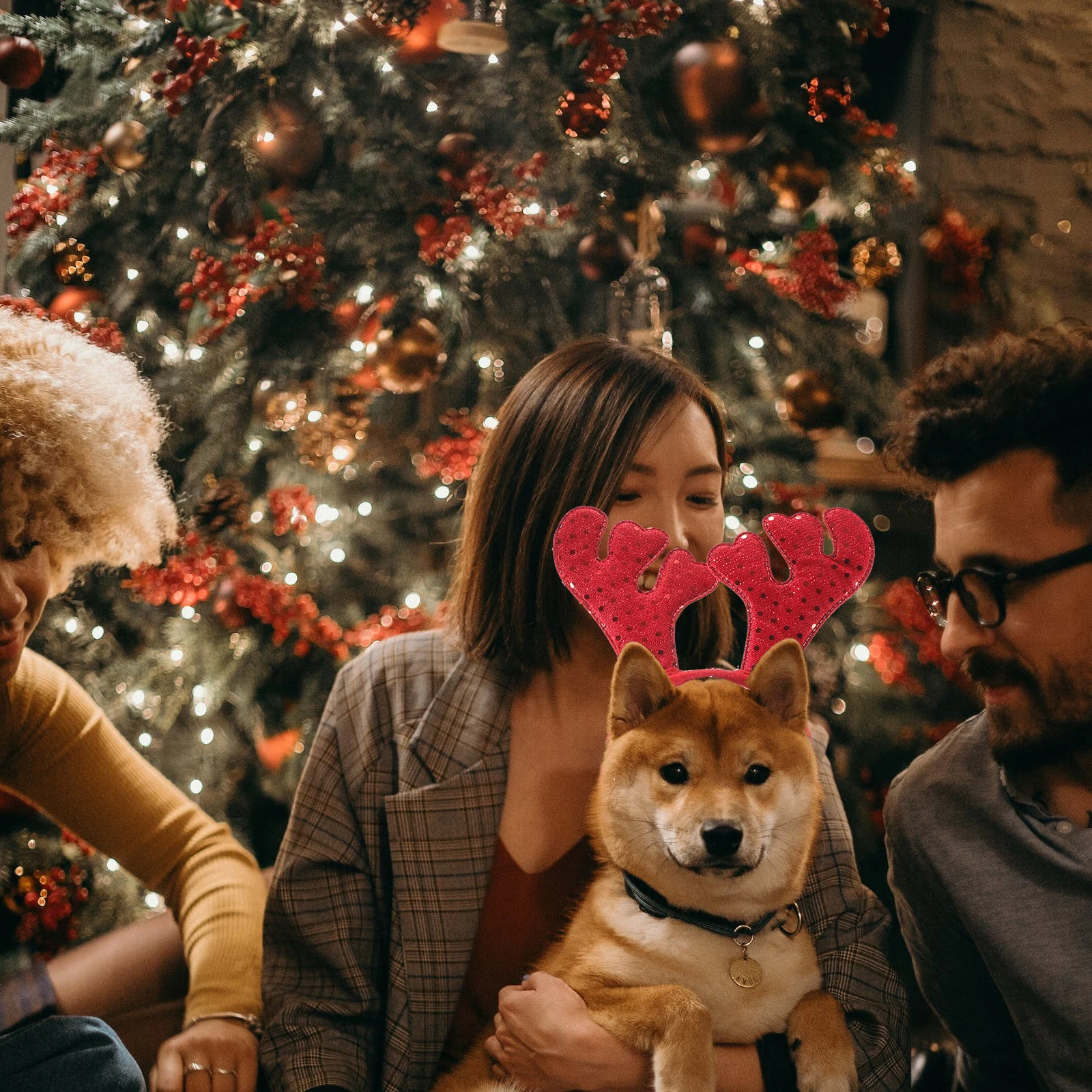 

Adorable Reindeer Hoop for Dogs Cats Christmas Pet Costume Accessories Comfortable Antler Headband Holiday Party Wear