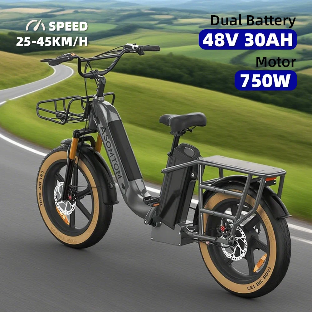 

One piece dropshipping 20 inch electric bicycle 750W48V30AH dual battery heavy-duty king electric snow bike from the United Stat