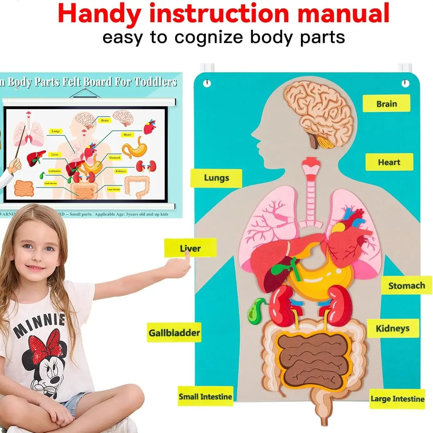 Teaching Body Parts Felt Board Stories for Toddlers Arts Crafts Toys Early Learning Human Body Wall Chart Set Class Supplies