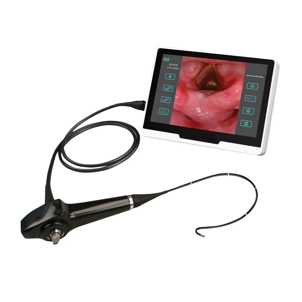 LTEF22C Endoscope Usb Video Rhinolaryngoscope Ent 10 Inches  Hd Image Flexible Medical Video Rhinolaryngoscope