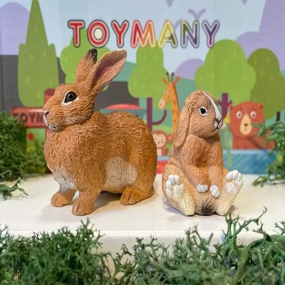 Toymany จําลอง Flemish กระต่ายยักษ์สัตว์ป่าของเล่นมินิตัวเลขตุ๊กตา Action ตุ๊กตาของเล่นเด็กของขวัญ