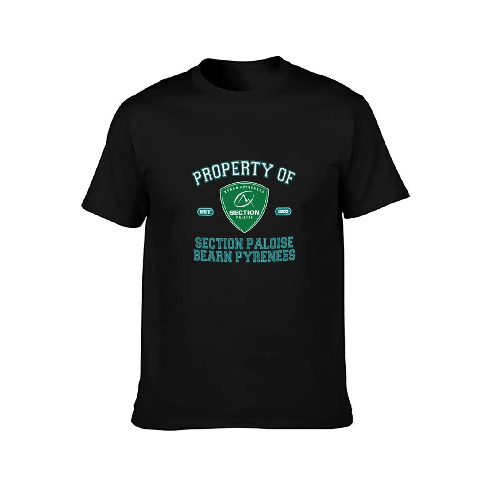 Property of Section Paloise T-Shirt Basic Solid Color Casual Tee Shirt T-Shirt