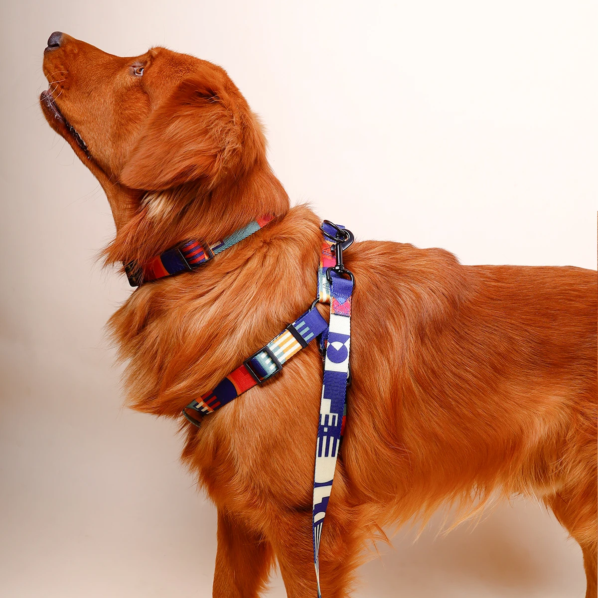 1PC abstract chest and harness three-piece set of geometric pattern multi-color splicing pet chest and harness collar with