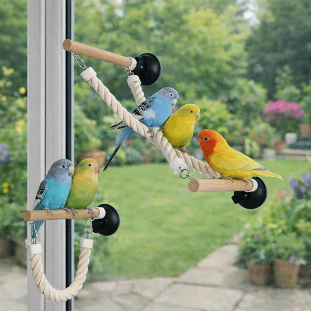Thumbnail 3 - #6 Best Bird Ladders & Perches to Buy In 2026