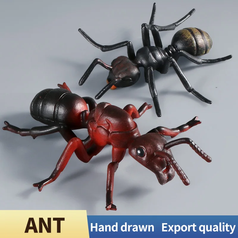 محاكاة الحشرات الصلبة نماذج للحيوانات النمل Arthropod عمل أرقام ألعاب معرفية تعليمية للبنين والبنات هدايا الأطفال