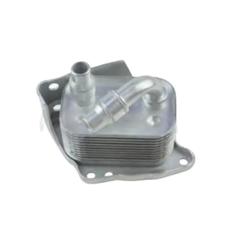

Automotive Parts Engine Oil Radiator China Genuine for BMW E87 E46 E90 E60 318 320 520 116 X1 X3 N46