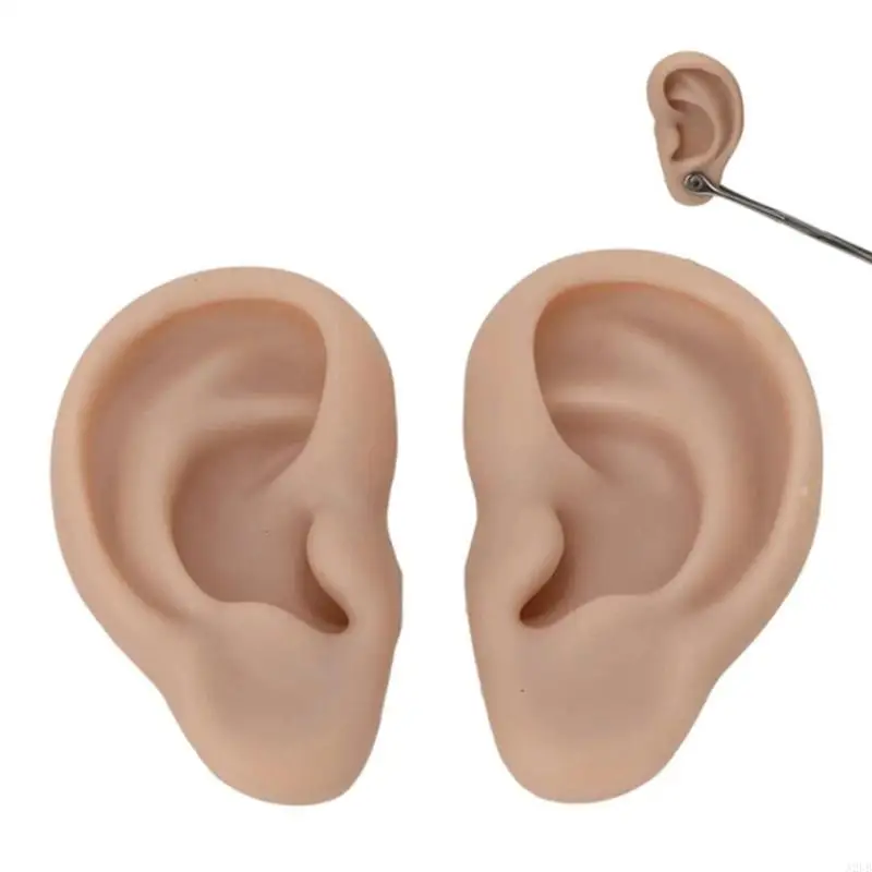 解剖学研究美容実践および現実的なビジュアルアートプロジェクトのためのシリコーン耳補綴物A2UB