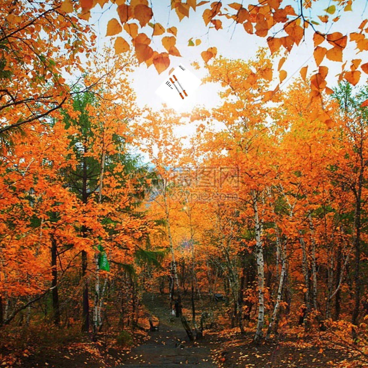 

GPM Alloy+SST Adjustable Front Steering Tie Rod for ARRMA 1/5 Kraton Outcast 8S EXB ARA340156 ARA330567 - Racing Car Part