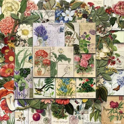 50PCS Retro Plants Art Style Stickers Decoration Plant PET Waterproof Scrapbooking Stationery Computer Paper Creative Stickers
