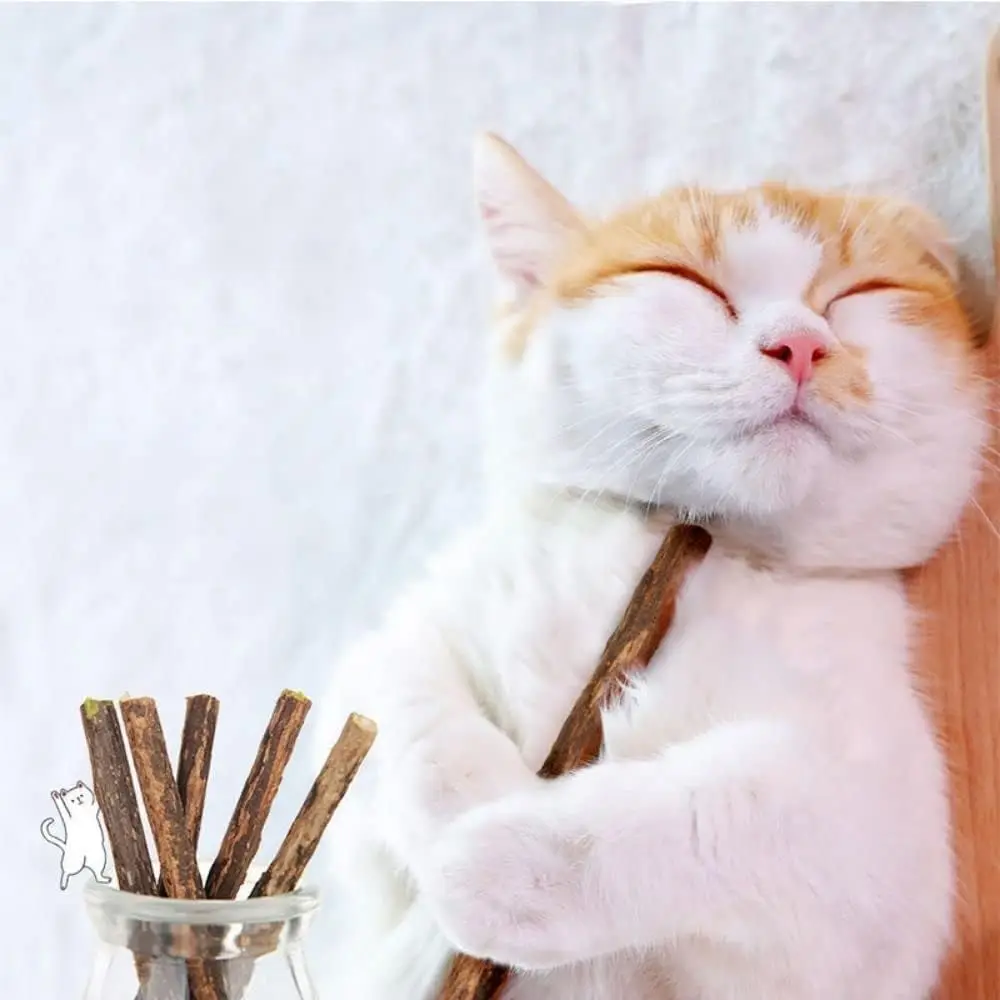 Natural Sticks for Cats 3