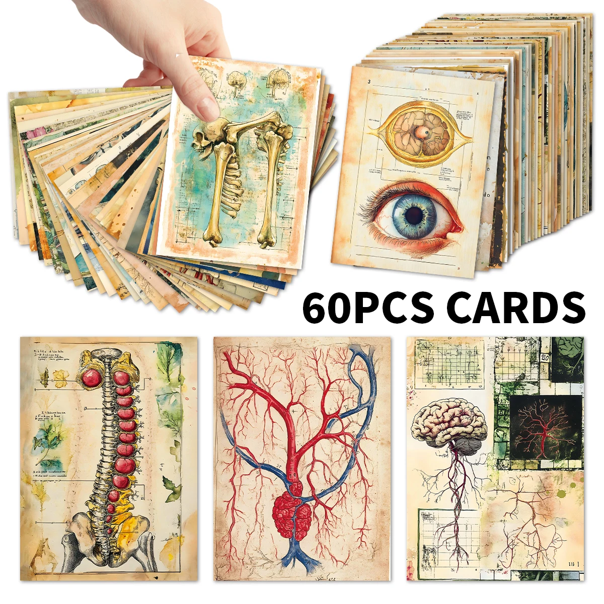60개 빈티지 해부학 저널링 엽서, 생물학 콜라주 카드 선물, 스크랩북, 방, 사무실, 실험실 벽 장식용