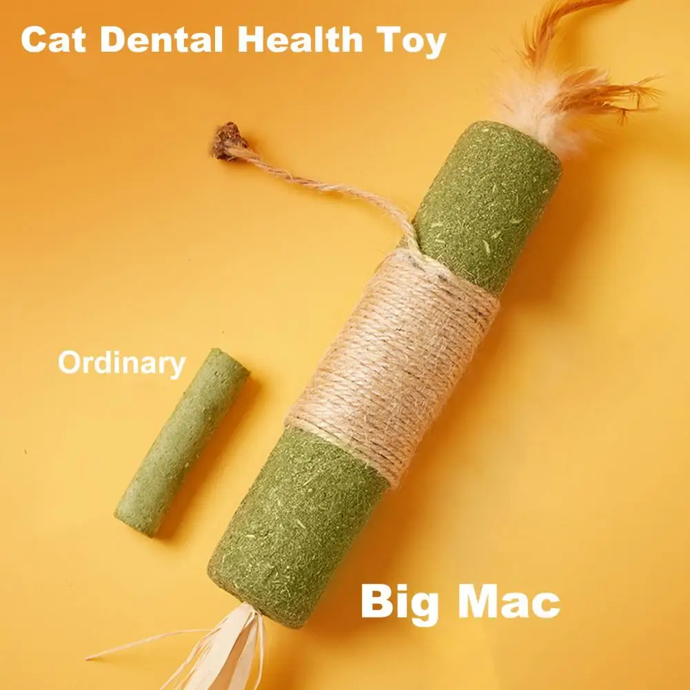 Cat Dental Hygiene Chew Toy Cat Chew Toy for Oral Care Cat Teething Toy Set with Silvervine Sticks Catnip for Indoor for Breeds image 2