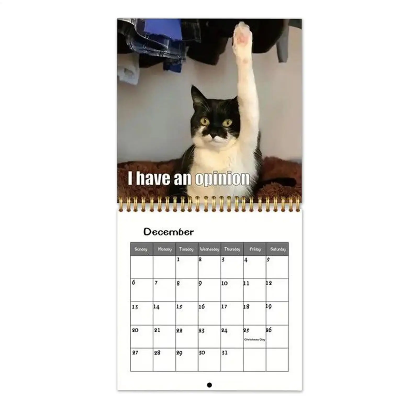 

Календарь с изображением кошек, ежемесячный настенный планировщик, планировщик расписания для праздников, Рождества, Нового года, для офиса, дома, детей, взрослых, семьи, друзей