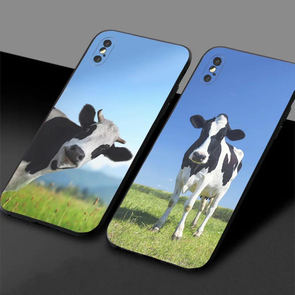 Dairy cow Animal Phone Case For Samsung S24,23,22,30,21,10,9,Ultra,Plus,Lite,FE,5G Black Soft Case