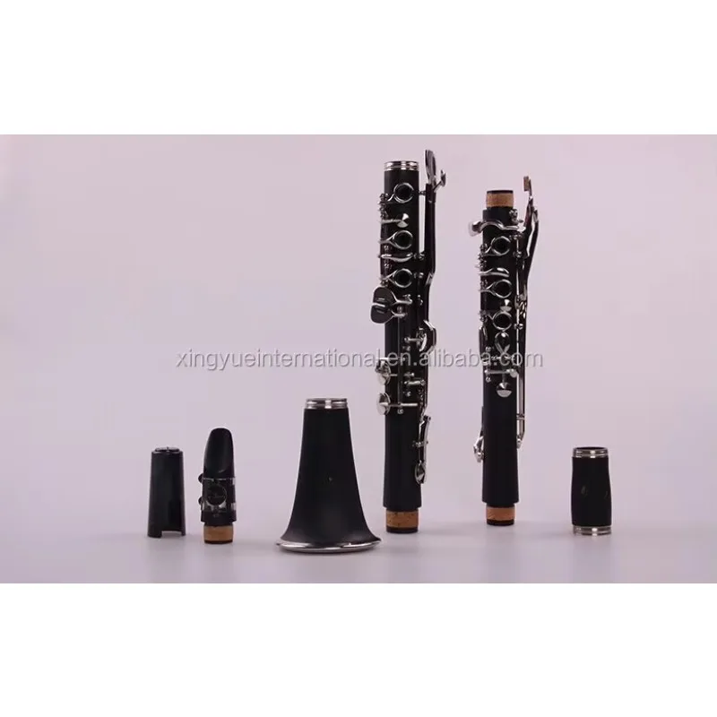 Professional G Key Clarinet for Beginners, Students, Band and Orchestra, Woodwind Instrument with Case, Mouthpiece and Reeds