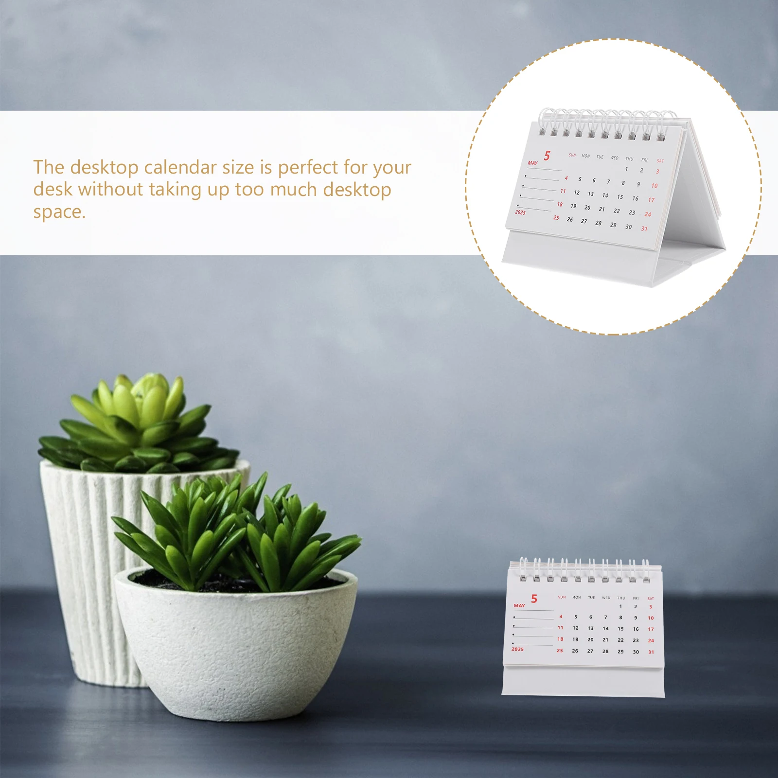 Mini Desk 2025 Small Size Standing Daily Note Home Office Monthly Planner Simple Desktop Desktop Calendar Schedule
