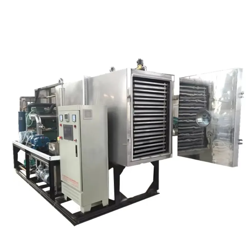 Industrial Vacuum Lyophilizer Freeze Dryer Machine for Strawberry Fruit Candy Coffee Milk Drying Custom