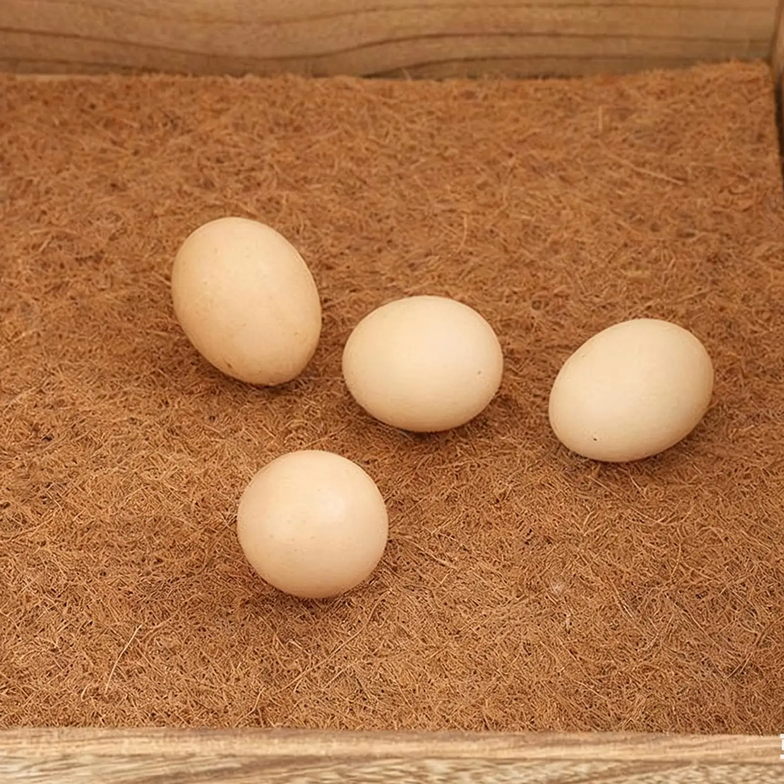 Коробка для укладки куриных яиц, деревянное гнездо с подушечками, коробки для курицы для окуня, для укладки яиц для курицы, галлинны, курицы, дом, зимняя птица
