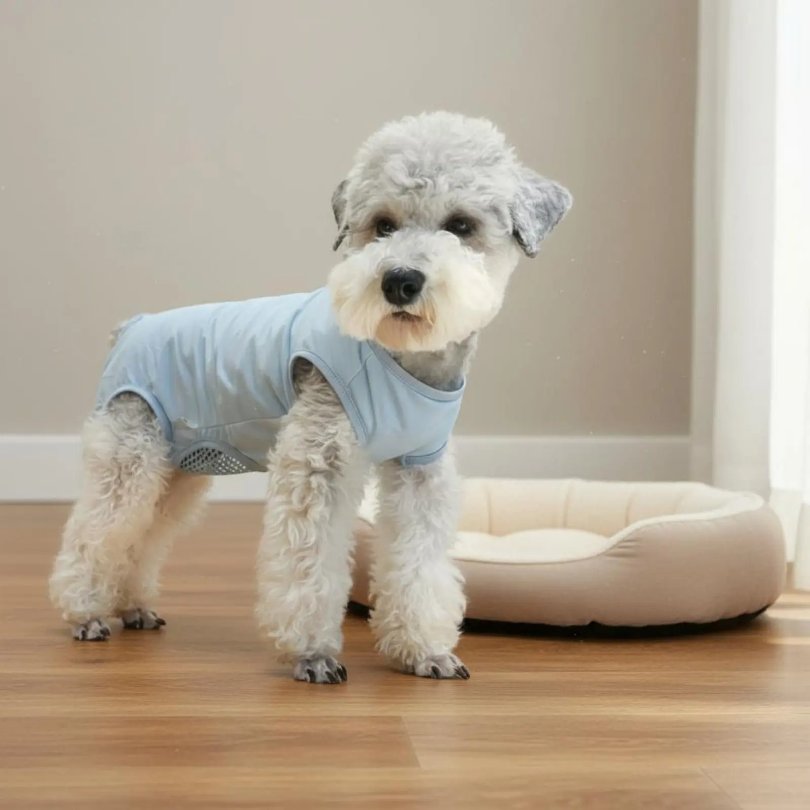 Male Dog Anti-Harassment Suit Quick-Dry Post-Op Pet Suit Dog Surgery Onesie Lightweight Canine Care Product Mesh Crotch Design