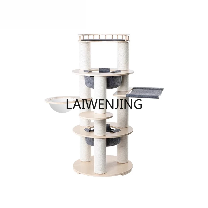 Mjy Cat Climbing Fr… - image