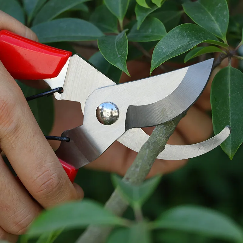 

Garden Shears Steel Pruning Shears Gardening Bonsai Flower Branch Coarse Branch Large Diameter Fruit Branch