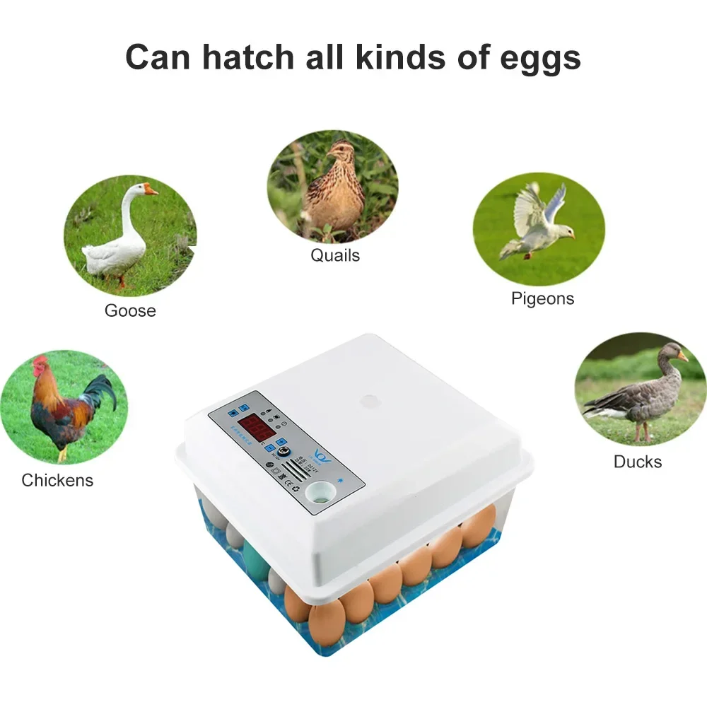 20 Eggs Incubator Set Fully Automatic Household Brooder Farm Chicken Goose Duck Bird Egg Incubator