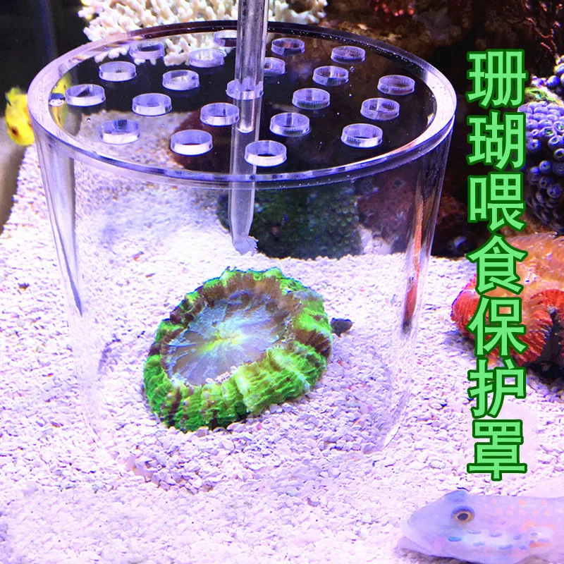 Aquarium Arcylic Coral Feeder Tube Liquid Fertilizer Adding Tools for Reef Fresh Water Fish Tank Coral Feeding Hood