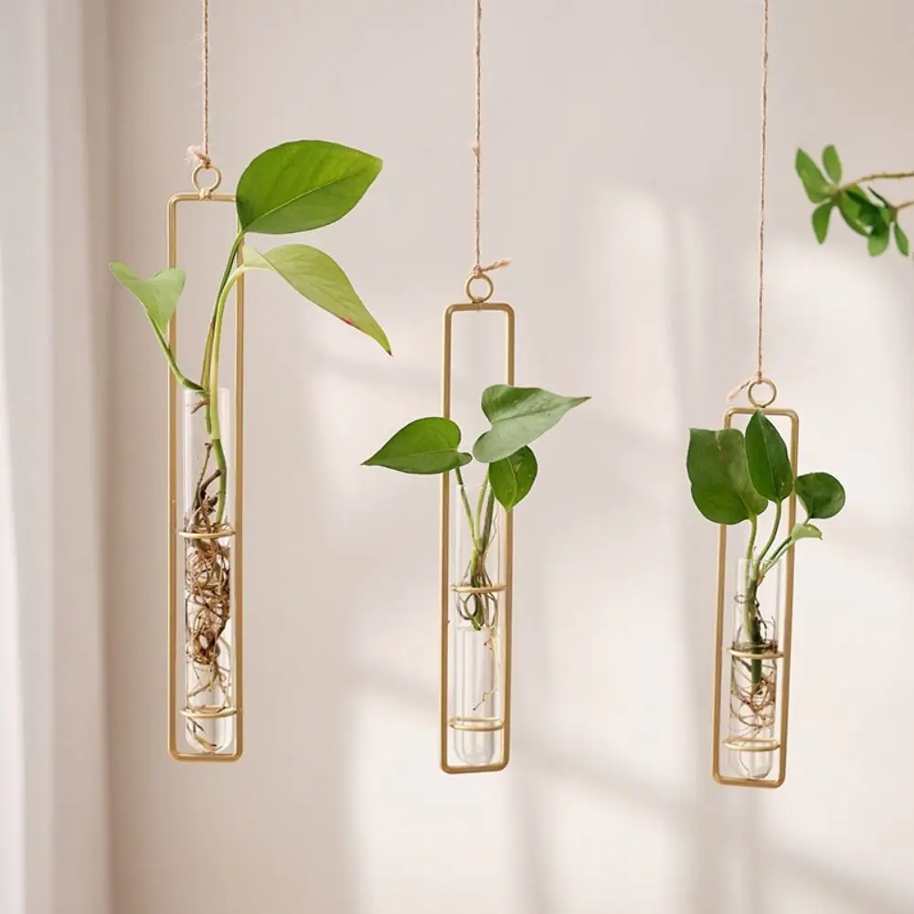 Creative Glass Vase Home Living Room Wall Hanging Creative Hydroponic Plant Vase Nordic Decorative Transparent Flower Pot