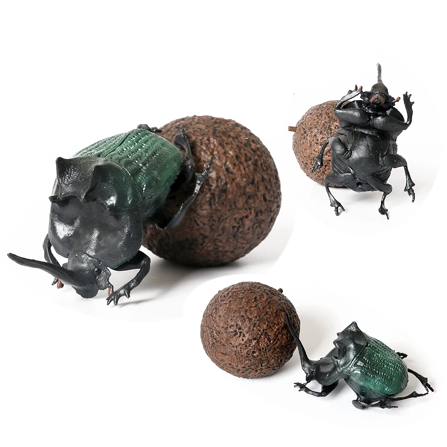 محاكاة الخنفساء الدفع البراز البق الحشرات الحشرات نموذج الشكل الحشرات البرية الحلي اللعب الجنية حديقة الديكور