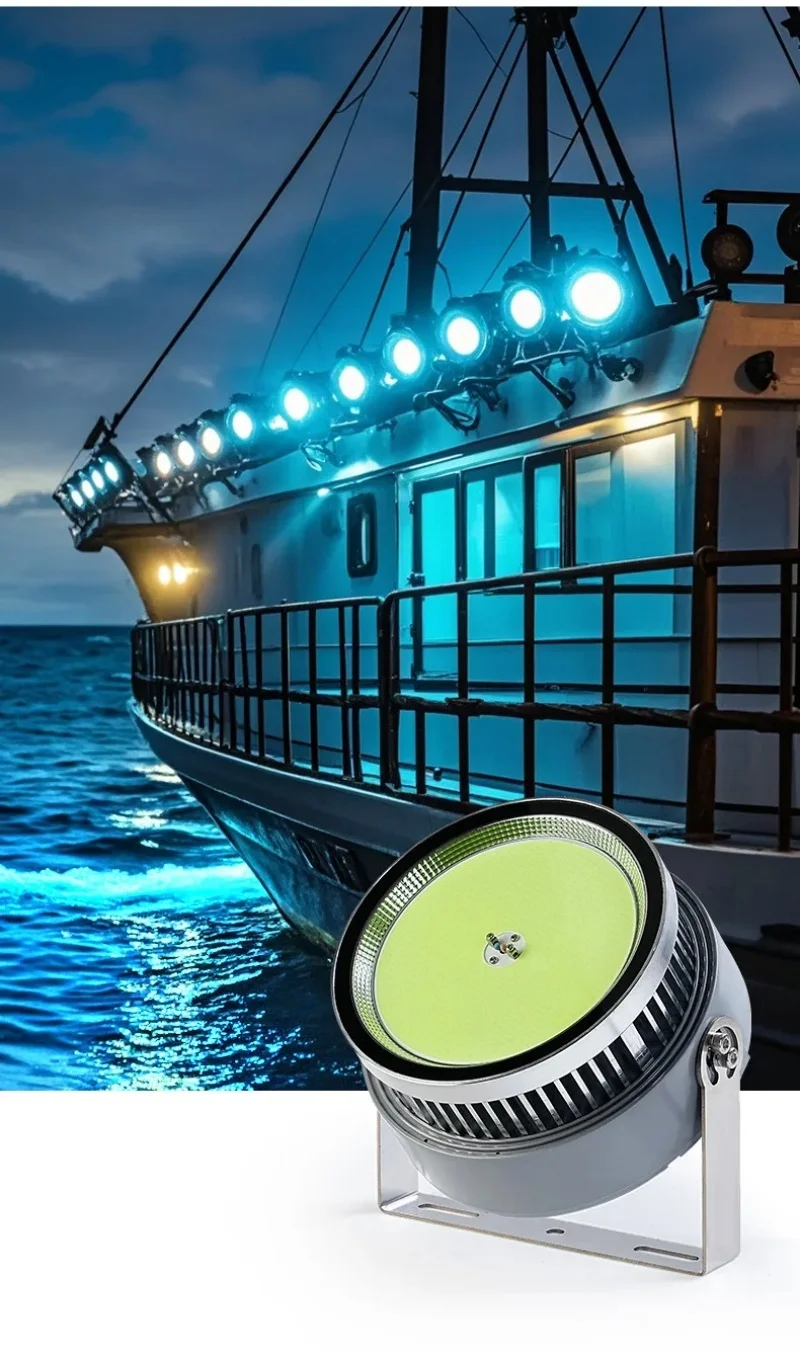 1000 Watt Led Fish Light For Outdoor Fishing Boat Waterproof 220v Blue Light Sea Fishing Lure Squid Fishing Light