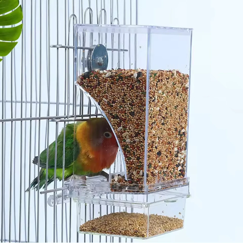 #81 Best Bird Feeders to Buy In 2026