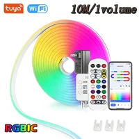 Dreamcolor TUYA RGBIC LED Neon Strip WiFi Smartlife RGBIC Lamp Tape Work with Alexa for Home Deocor Lighting Indoor Led Light