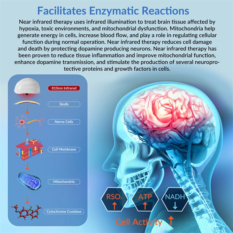 Frovab 40Hz 810nm Alzheimer Treatment Gifts for Parkinsons Patients Men Tdcs Device Parkinson Dementia Physiotherapy Device