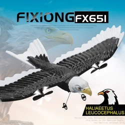 FX651 RC Plane Eagle Airplane Wingspan Glider 2.4G Radio Remote Control Aircraft EPP Foam Toys for Children Boys