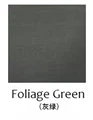 FG