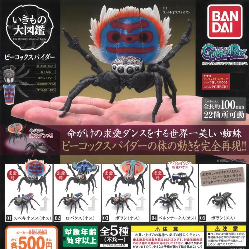 Bandai Genuine Biological Encyclopedia Gashapon Toys Peacock Spider Simulation Insects Action Model Decoration Creative Gifts