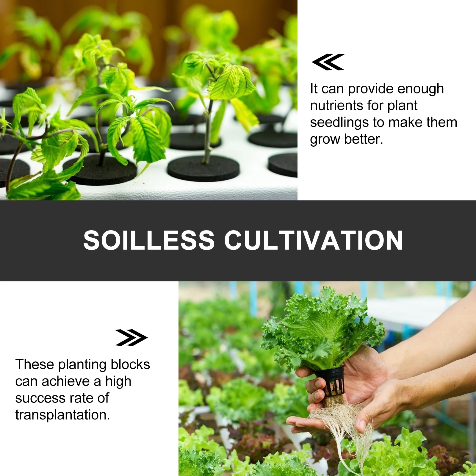 

30 pcs EVA Planting Foam Blocks for Soilless Cultivation Lightweight Breathing Moisturizing Garden Plants Nursery Breeding
