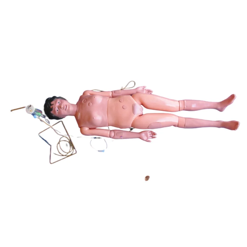 

Medical School Teaching and Hospital training the Model of Nursing