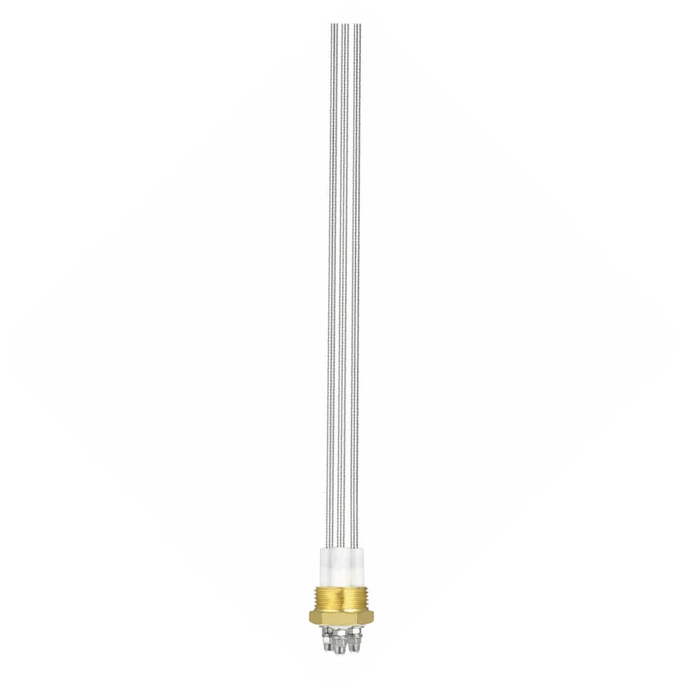 Imagem -05 - Sonda de Eletrodo Indicador Líquido para Caldeira a Vapor Nível de Água Roscada g1 Aço Inoxidável Importado Sus304 3-pin Pro 1pc