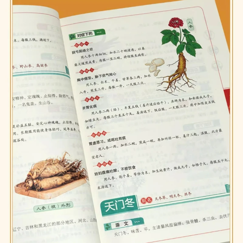 Traditional Chinese Medicine Health Encyclopedia, Compendium of Materia Medica for Health Preservation Books